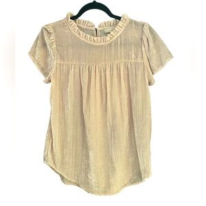 LOFT Women’s Y2K Crushed Velvet Ruffle Feminine Fairycore Blouse Size S